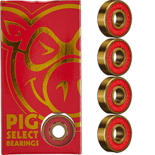 Load image into Gallery viewer, Pig - Select Bearings
