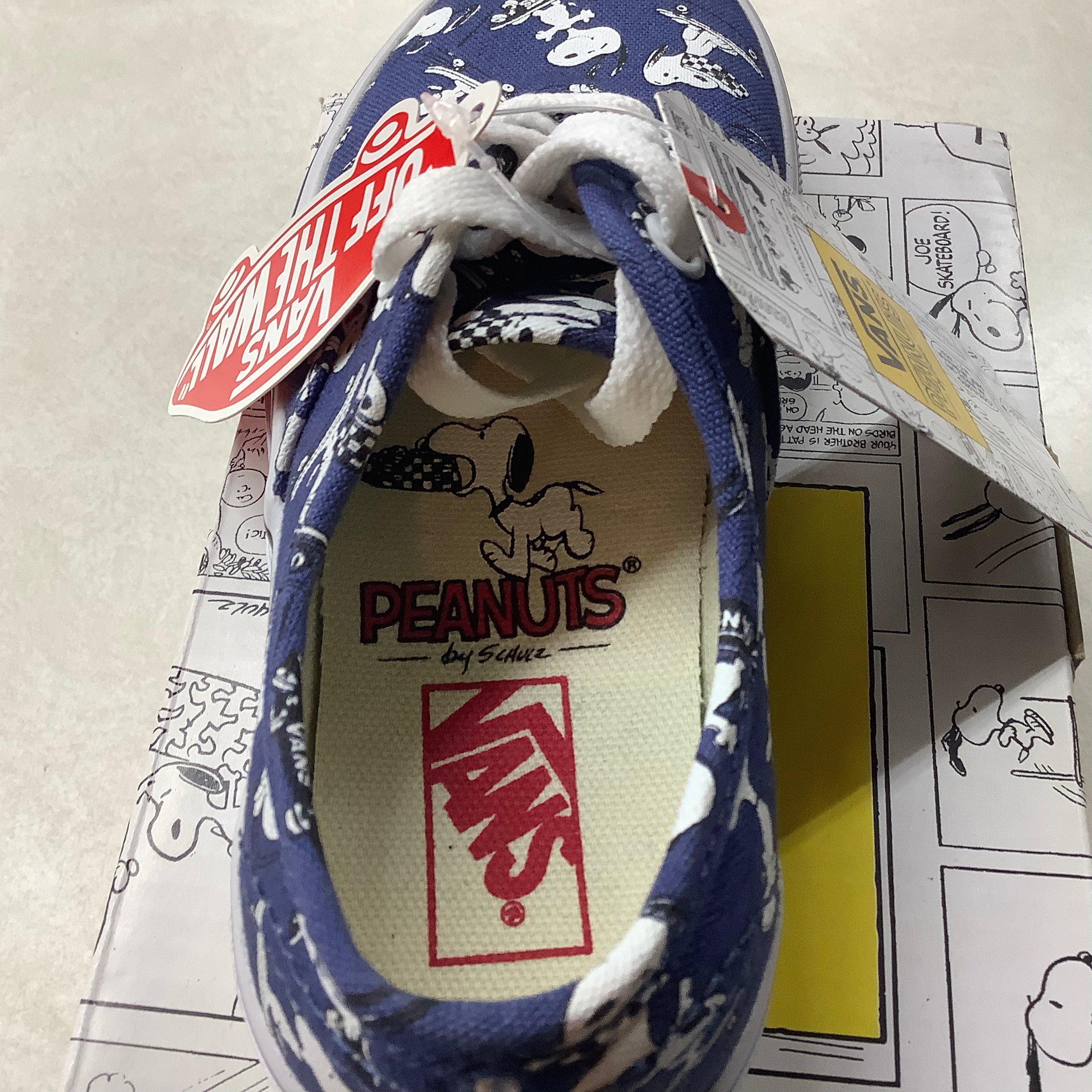 Vans - (Peanuts) Snoopy/Skating