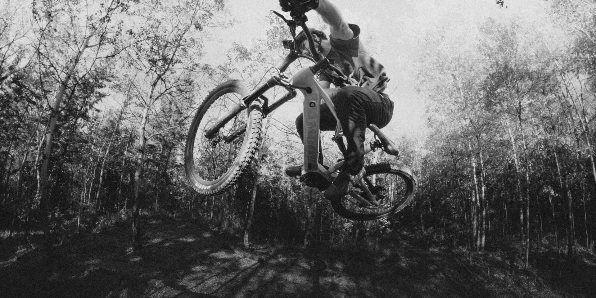 Mountain E-Bikes