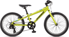 Load image into Gallery viewer, Jamis - XR20 Youth Mountain Bike 20”
