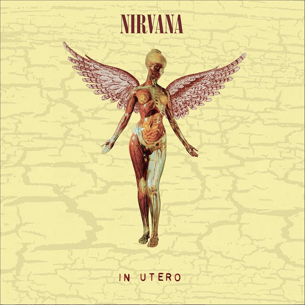 Nirvana - In Utero (30th Anniversary Edition Super Deluxe 8LP Set)