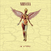 Nirvana - In Utero (30th Anniversary Edition Super Deluxe 8LP Set)