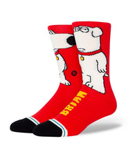 Load image into Gallery viewer, Stance - The Dog Brian Griffin
