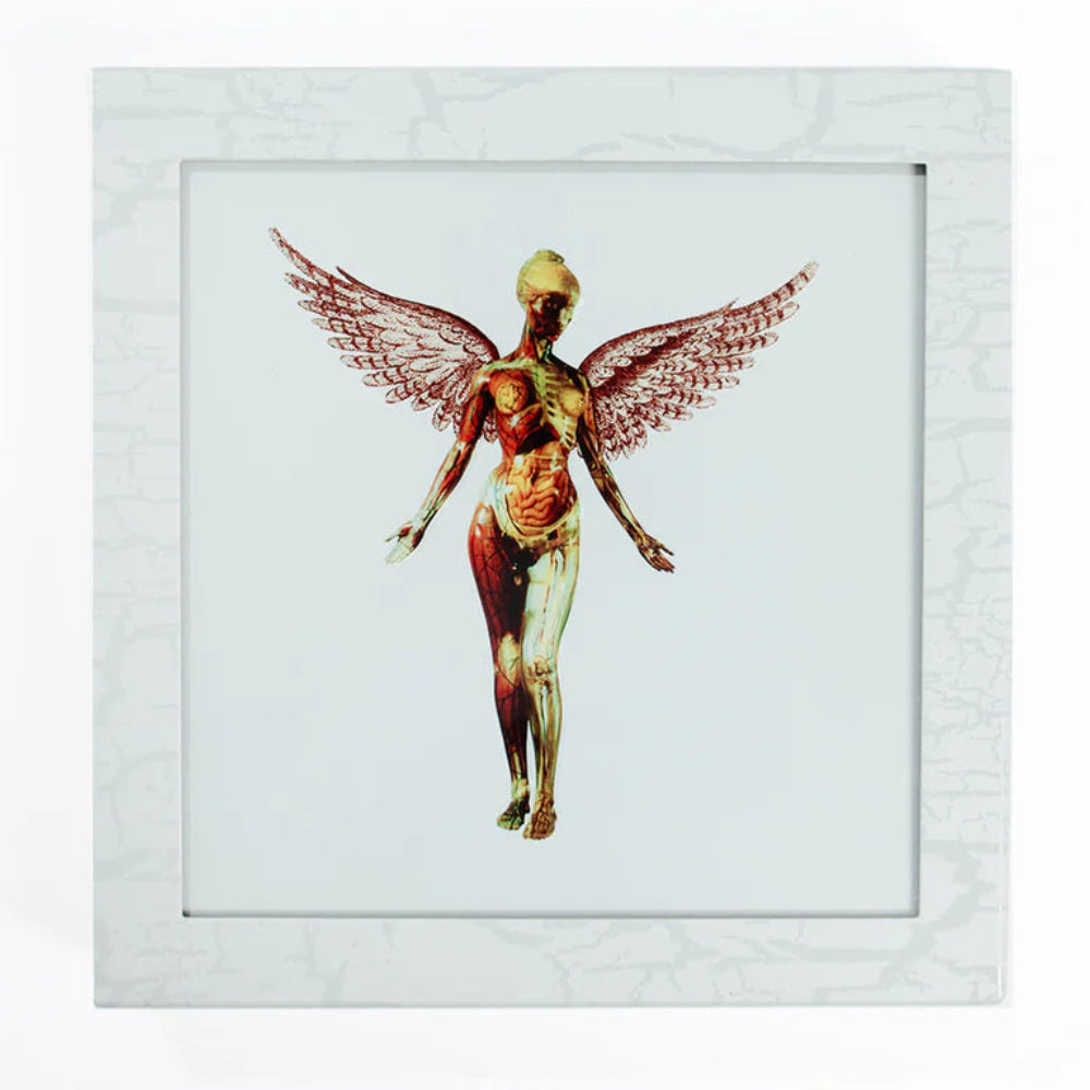 Nirvana - In Utero (30th Anniversary Edition Super Deluxe 8LP Set)