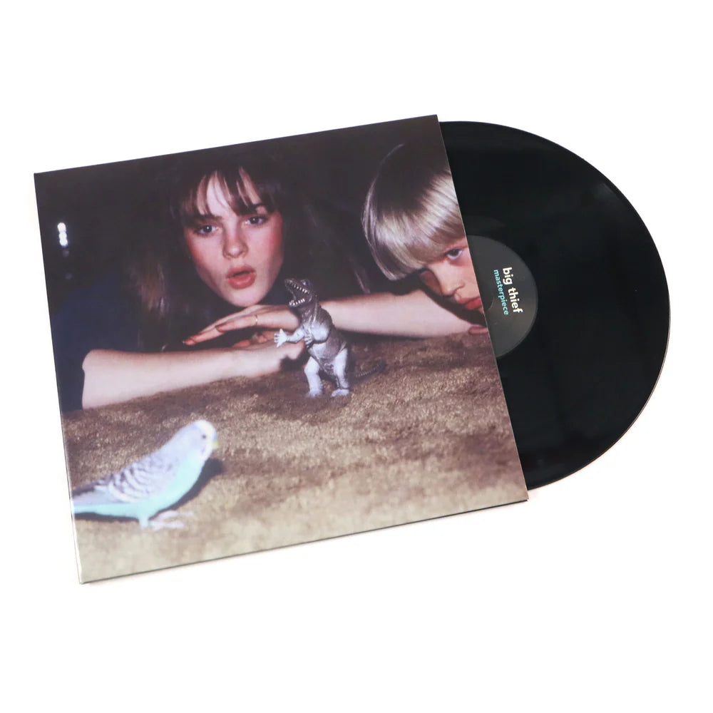bigthief-masterpieces-blackvinyl-1_1000x1000_7bd3f98c-c322-43e7-9c29-66634738a744.webp