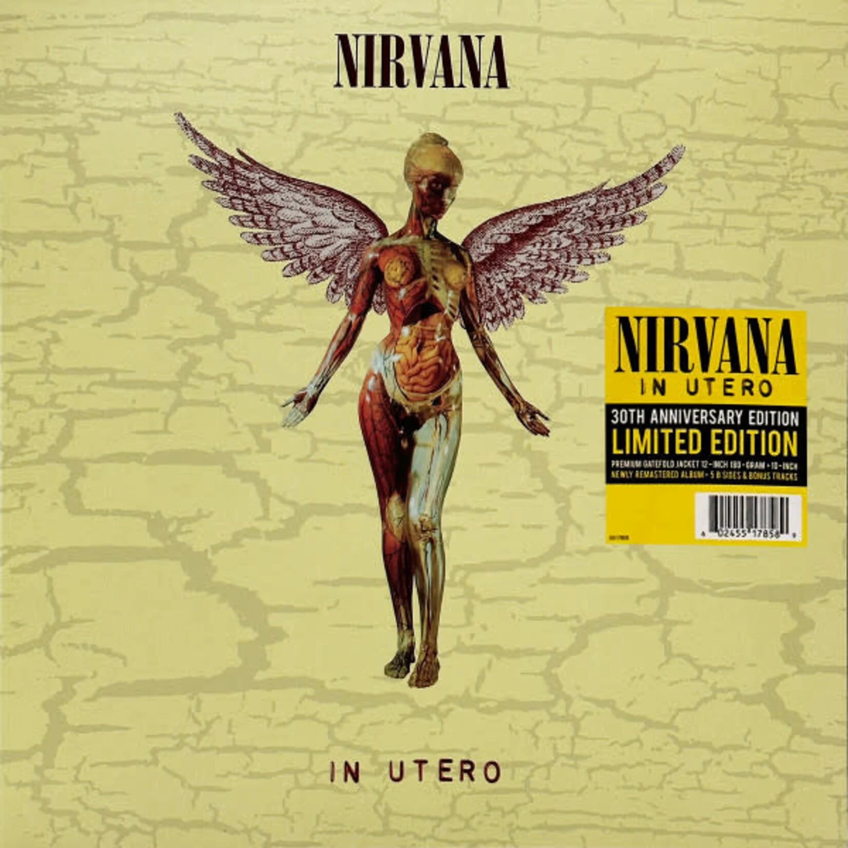 Nirvana - In Utero (30th Anniversary Edition) (2LP) – Bears BMX & BS