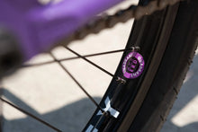 Load image into Gallery viewer, Sunday - Street Sweeper 20&quot; BMX Jake Seeley Signature
