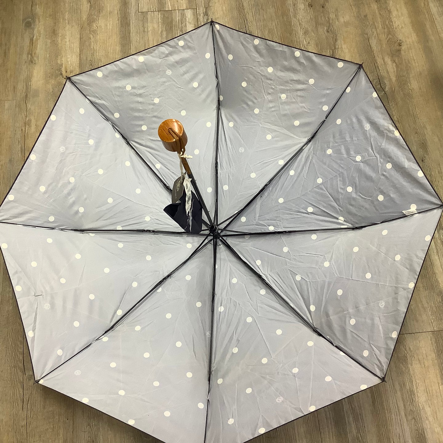 Element - Eden Umbrella